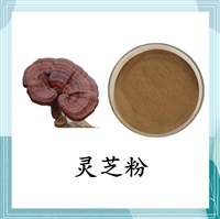 灵芝菌丝体粉99%  发酵灵芝菌丝粉 含灵芝多糖斯诺特