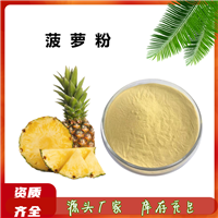 菠萝粉 99% 凤梨果粉  速溶固体饮料  烘焙代餐  10:1