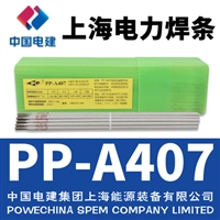 电力牌PP-A407不锈钢电焊条E310-15焊条2.5/3.2/4.0