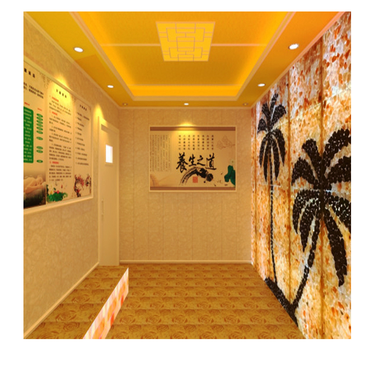 盐蒸桑拿房厂家 安装院盐蒸房 中药灵芝盐蒸房价格