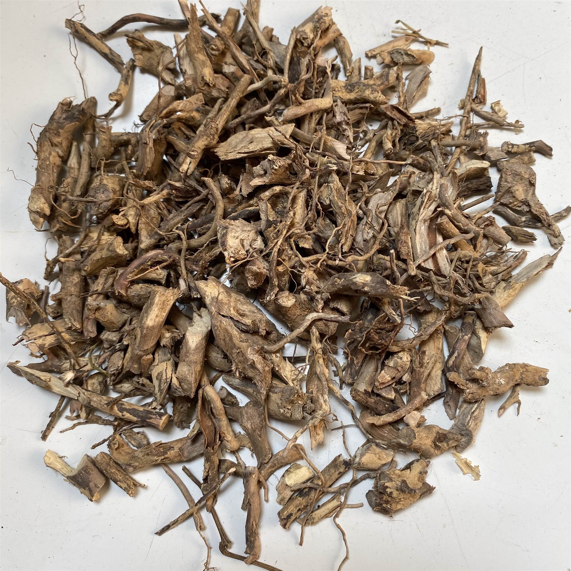 中药材白马骨根