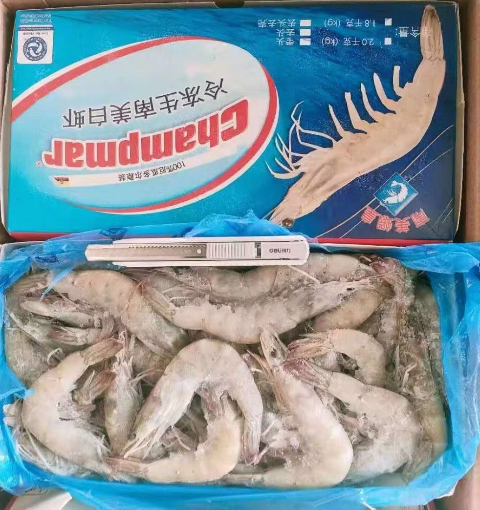 鲟 charybdis miles (de haan) akaishigani 石蟹,红蟹 蟹类锈斑鲟