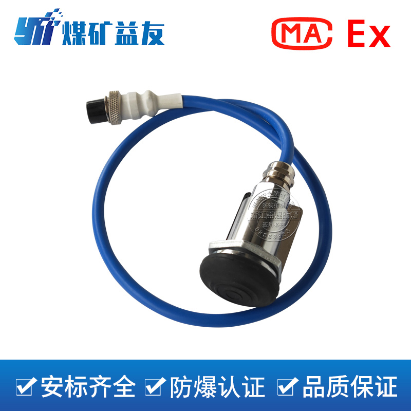 DLEC1-24矿用浇封兼本安型电子喇叭