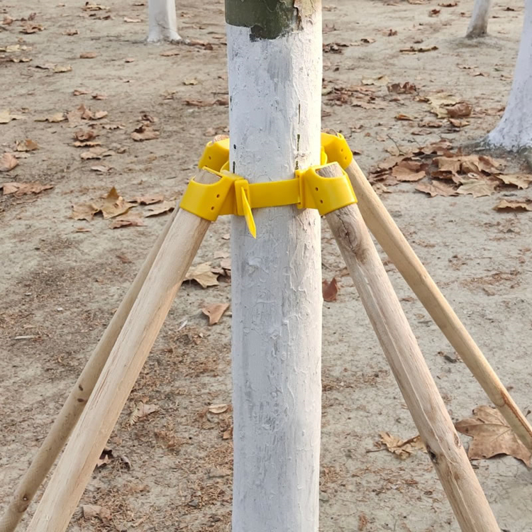 大树树木支撑架 树木支架厂家