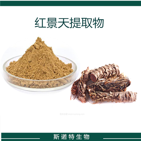 红景天提取物 红景天甙 SC生产商  保健食品原料 斯诺特生物