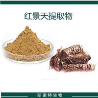 红景天提取物 红景天甙 SC生产商  保健食品原料 斯诺特生物