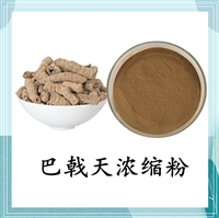 巴戟天浓缩粉 10:1 水溶性巴戟天粉 另有巴戟天皂甙斯诺特 可定制