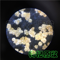 益生菌速溶粉喷雾制粒机-低温塔-常州永昌制粒