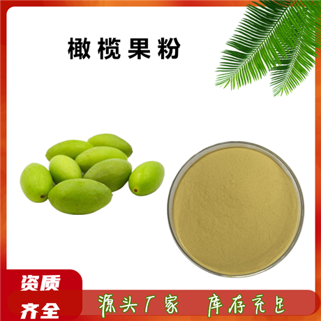 橄榄果粉 斯诺特  植提  10:1 可定制  免费拿样