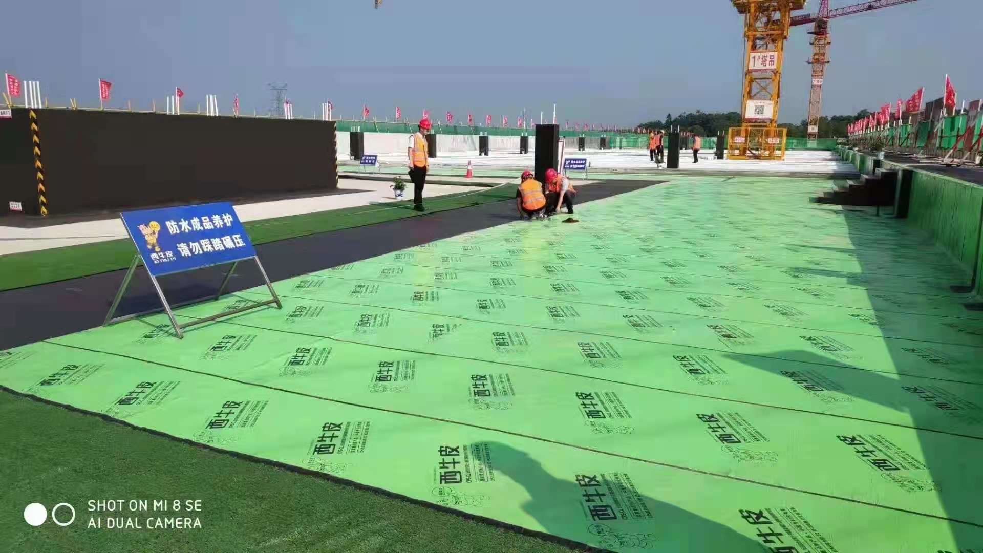 15mmcpscl反应粘结型高分子自粘防水卷材