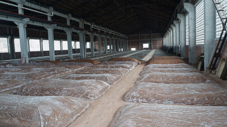 泸州醇窖酒厂图片