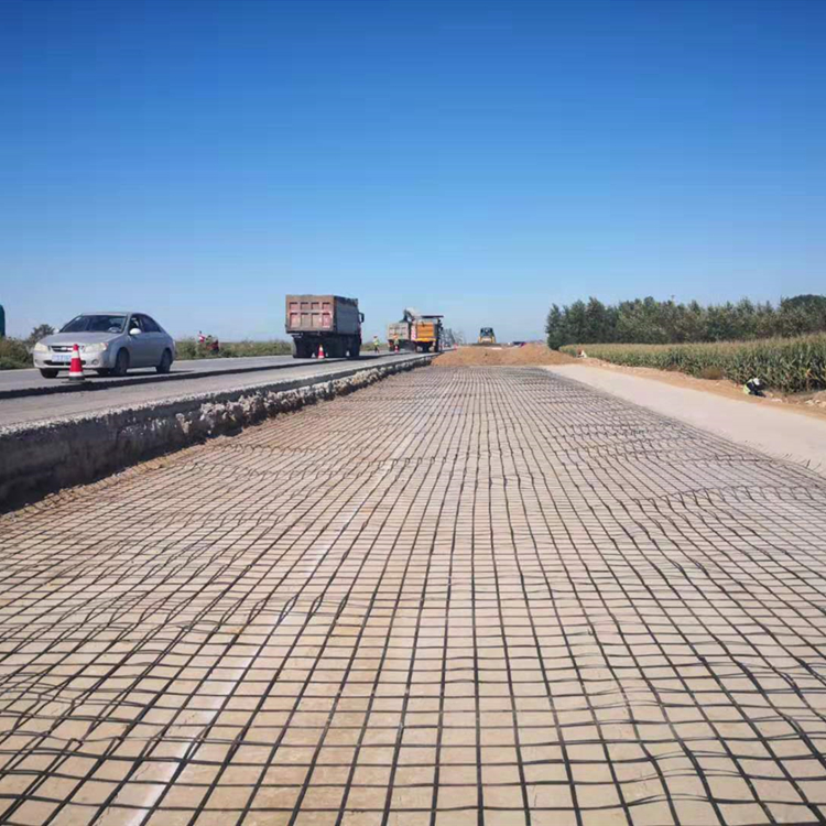 gsz钢塑复合土工格栅国标拉力保证检测合格厂家供货路基及挡墙加筋