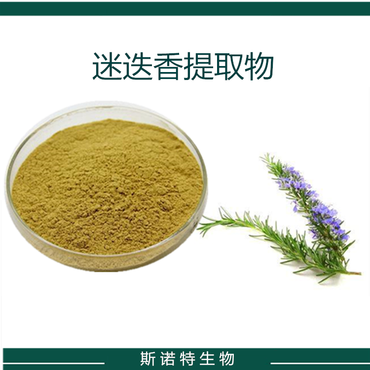 迷迭香提取物10：1 水溶粉 SC证 迷迭香浸膏粉斯诺特生物100粉末