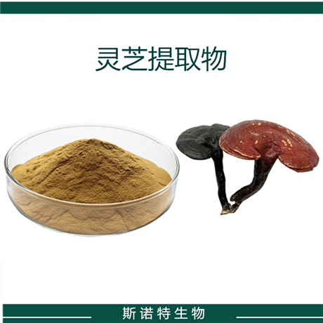 灵芝提取物 多糖 灵芝袍子粉 50% 棕色粉末 速溶粉 斯诺特生物