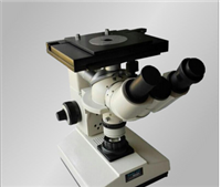 缔纶4XB双目金相显微 倒置生物显微镜 缔纶生物显微镜 电子显微镜