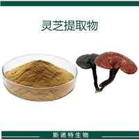 灵芝提取物 多糖 灵芝袍子粉 50% 棕色粉末 速溶粉 斯诺特生物