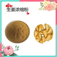 生姜浓缩粉 生姜提取物 姜辣素5% 10%水溶粉 SC 水溶斯诺特生物