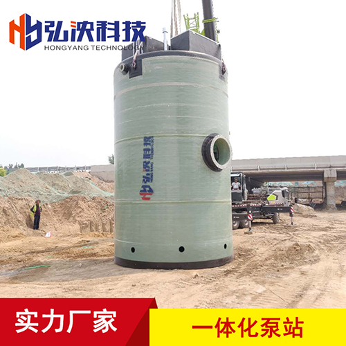 上海一体化泵站厂家 施工现场指导安装