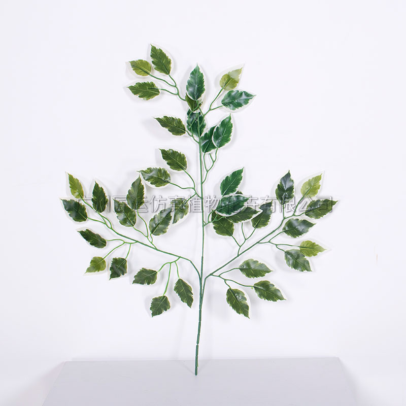 仿真榕树叶仿真白边榕树叶仿真叶子仿真树叶仿生榕树叶
