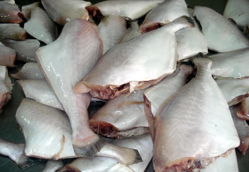 大连马面鱼进口报关