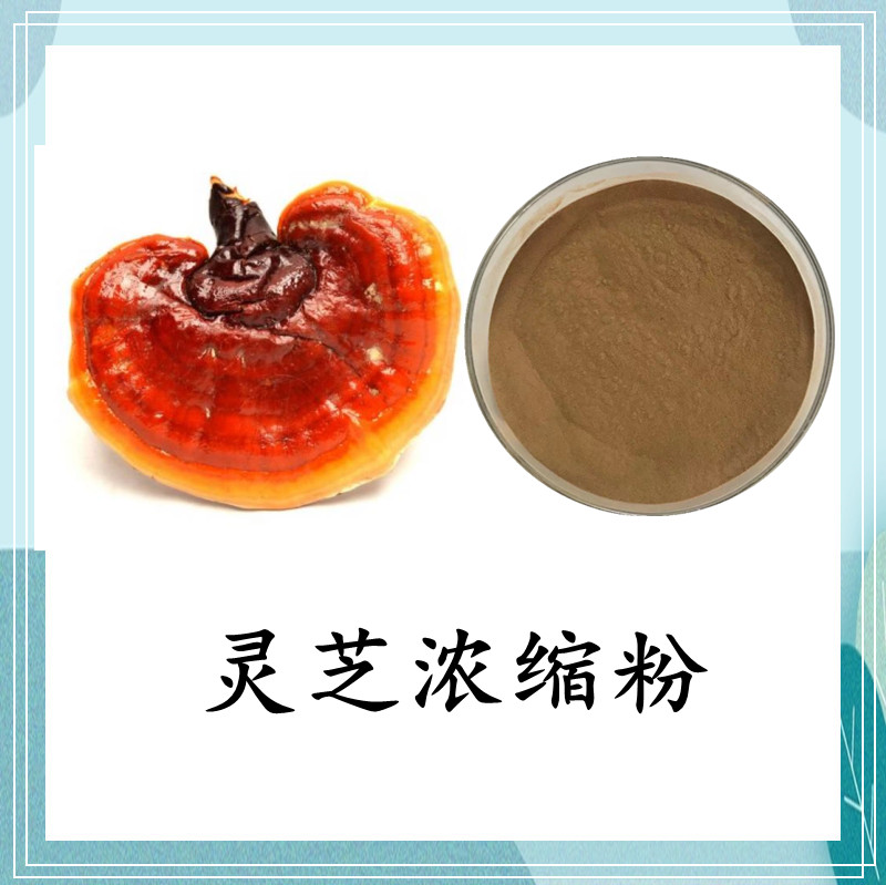 灵芝菌丝体粉99%发酵灵芝菌粉 灵芝菌丝粉80目 可定制 斯诺特