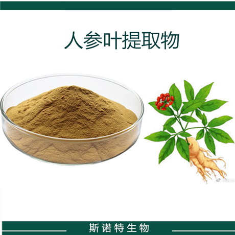 人参叶提取物 人参粉 人参提取物粉  可定制 斯诺特生物