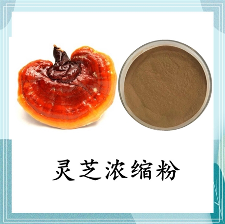 灵芝菌丝体粉99%发酵灵芝菌粉 灵芝菌丝粉80目 可定制 斯诺特