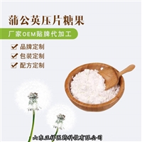 蒲公英决明子片 蒲公英菊花片 复合片 多种规格定制 OEM贴牌加工