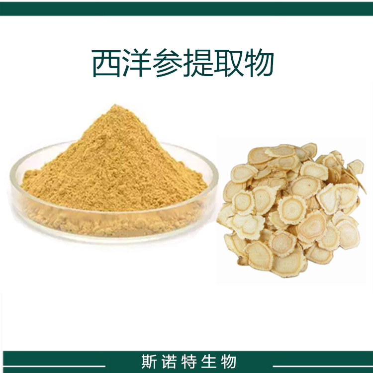 西洋参提取物 西洋参总皂甙 花旗参粉末 SC厂  粉末 水溶