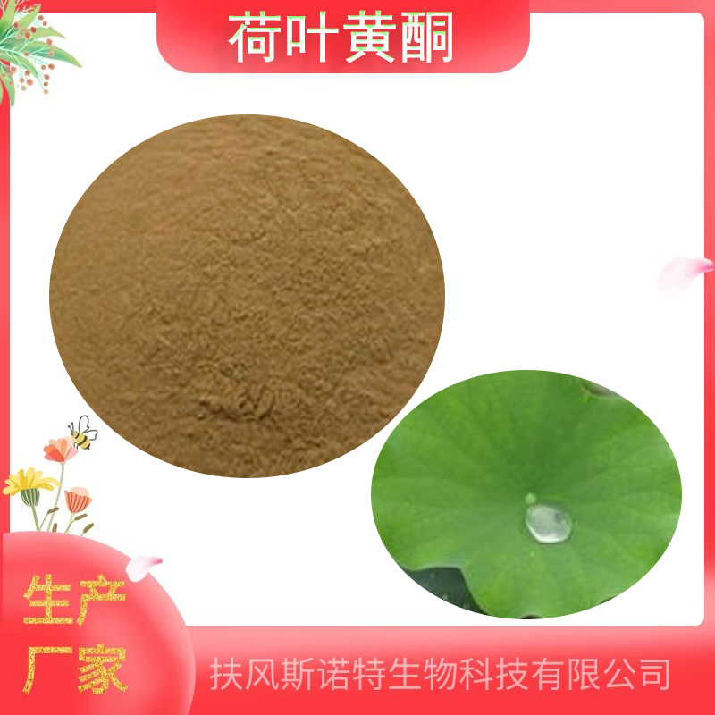 荷叶黄酮5%-30%  荷叶提取物10：1 荷叶碱 水溶性 多规格