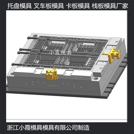 定做网格塑胶地台板模具价格