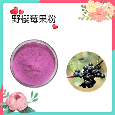 野樱莓果粉   水溶   可定制   斯诺特生物