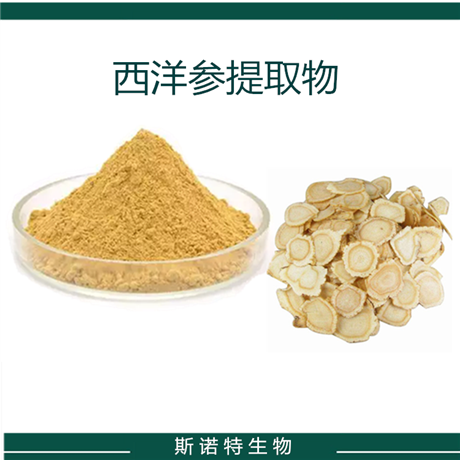 西洋参提取物 西洋参总皂甙 花旗参粉末 SC厂  粉末 水溶