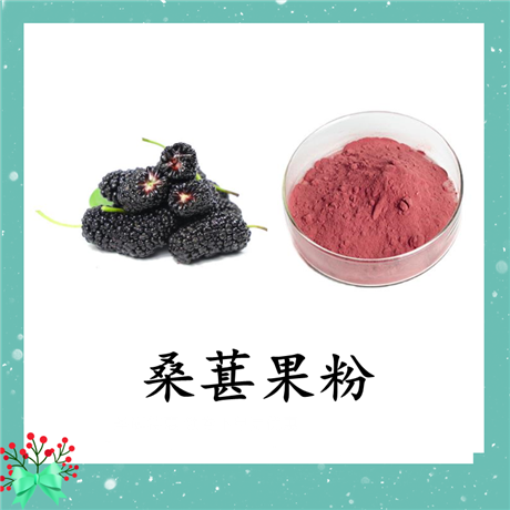 桑葚果粉 斯诺特 可定制