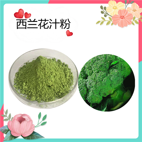 西兰花汁粉  西兰花粉99% 花椰菜粉 西蓝花粉 水溶  斯诺特生物