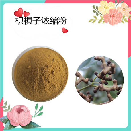 枳椇子浓缩粉  拐枣提取物  水溶  可定制   斯诺特SC厂  80目粉末