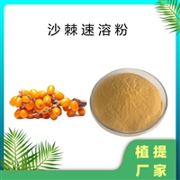 沙棘速溶粉 沙棘果粉99%  速溶厂家  沙棘提取物 固体饮料