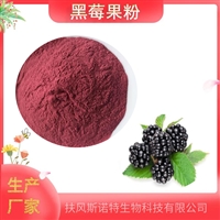 黑莓果粉   水溶性   生产 