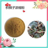 枳椇子浓缩粉  拐枣提取物  水溶  可定制   斯诺特SC厂  80目粉末