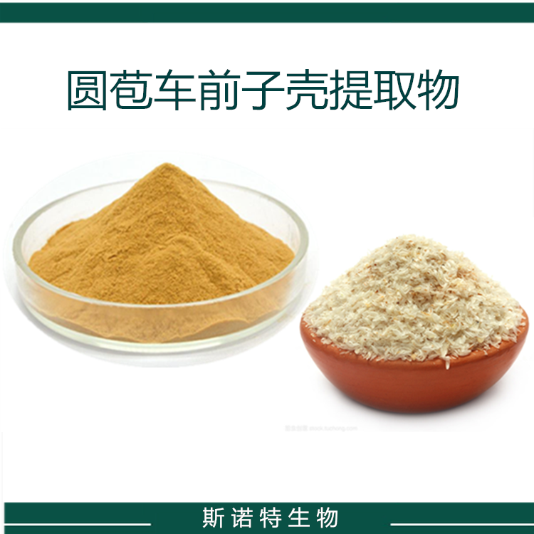 圆苞车前子壳粉 PSYLLIUM HUSK 99% 黄色粉末 斯诺特生物