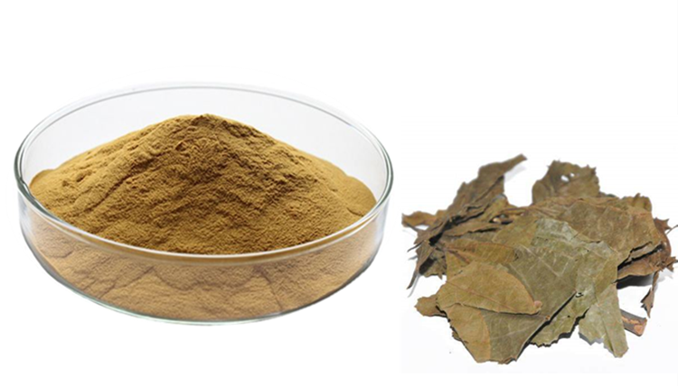 布渣叶粉 布渣叶提取物10:1 速溶浸膏粉 药食同源