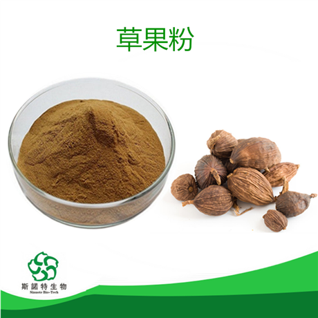 草果粉 可定制 斯诺特生物 草果提取物