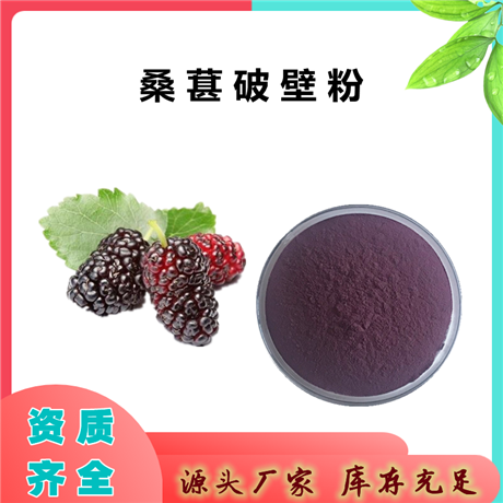 桑葚破壁粉  质齐全  植物萃取  斯诺特  植提  10:1 