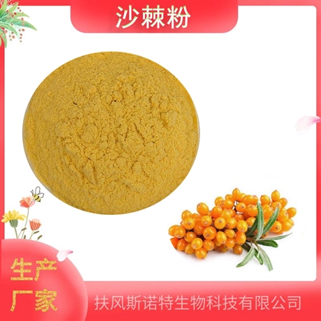 沙棘粉  沙棘提取物 黄酮 SC生产商  自产  资质齐全
