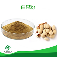 白果粉 可定制  斯诺特生物  白果提取物  可定制生产  100目粉末