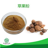 草果粉 可定制 斯诺特生物 草果提取物