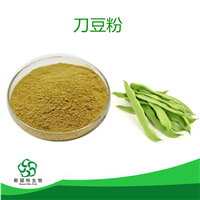 刀豆粉 刀豆提取物 水溶性粉末 流动性好 喷雾干燥 食品级原料