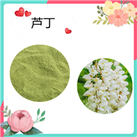 芦丁98%   槐米提取物 量大从优 HPLC检测 斯诺特生物