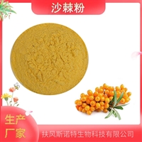 沙棘粉  沙棘提取物 黄酮 SC生产商  自产  资质齐全
