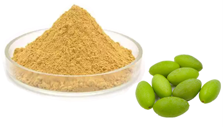 橄榄果粉可定制斯诺特生物橄榄果提取物